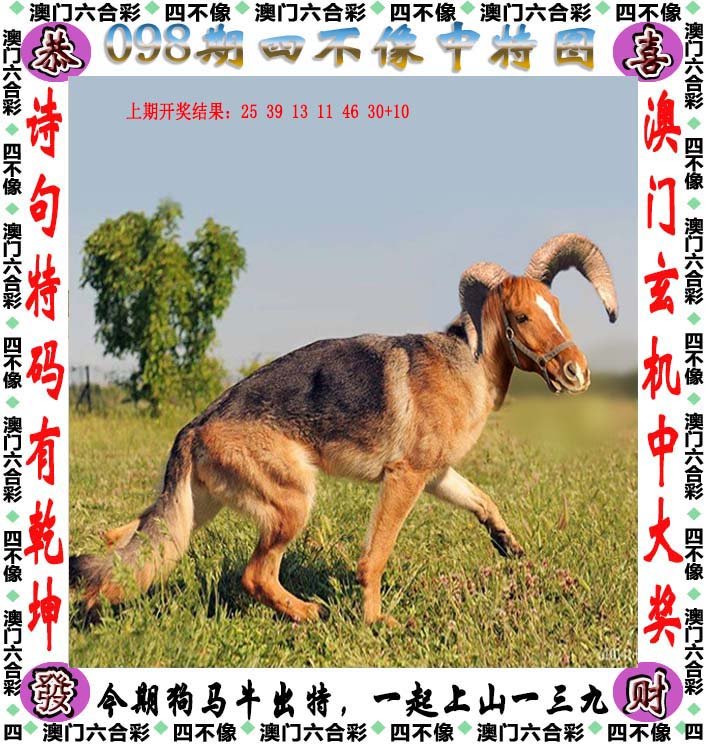 今晚必中四不像图玄机图,构建解答解释落实_89o55.55.13