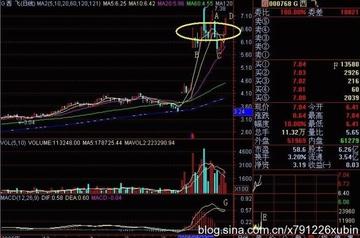 今晚必中四不像图玄机图,构建解答解释落实_89o55.55.13